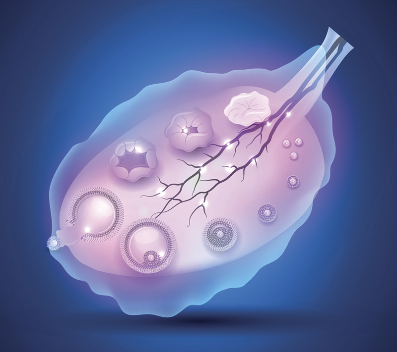 北京试管婴儿技术深度揭秘：助您实现生育梦想之路